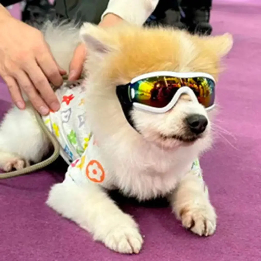 Dog Accessories Adjustable Strap Dog Goggles UV Resistant Windproof Dog Sunglasses Waterproof Anti-Fog Pet Glasses Outdoor