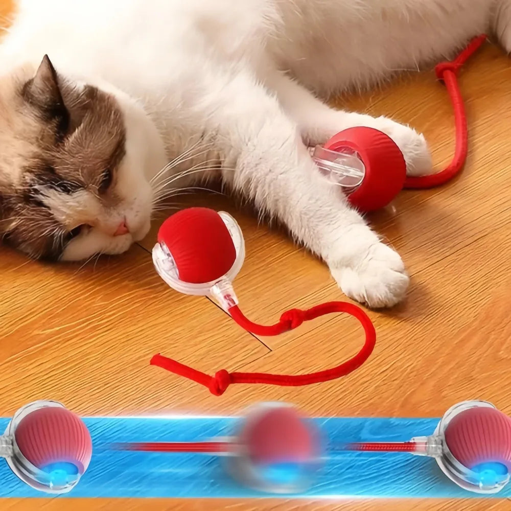 Dog Toy Automatic Dog Walking Ball Self-Happy Relieving Boredom Pet Electric Puppy Bite-Resistant Smart Toy Puppy Training