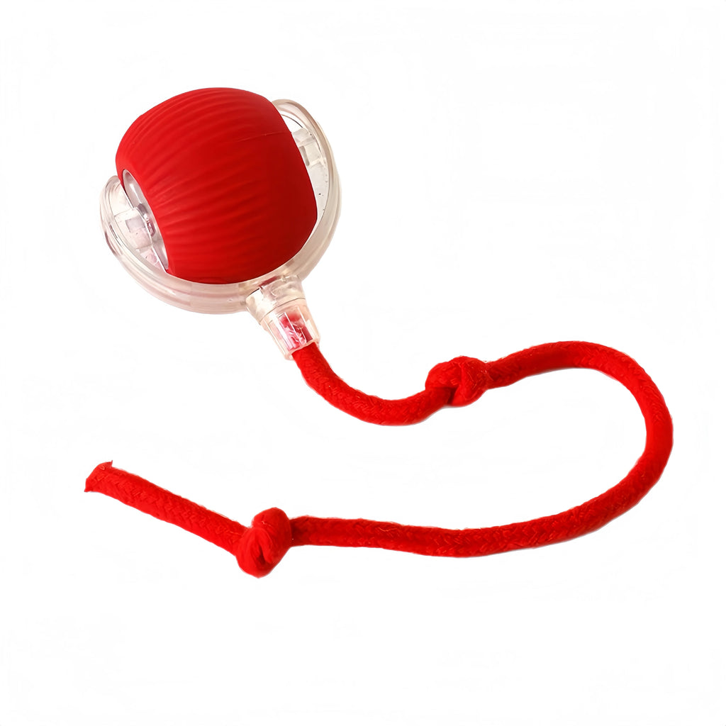 Dog Toy Automatic Dog Walking Ball Self-Happy Relieving Boredom Pet Electric Puppy Bite-Resistant Smart Toy Puppy Training