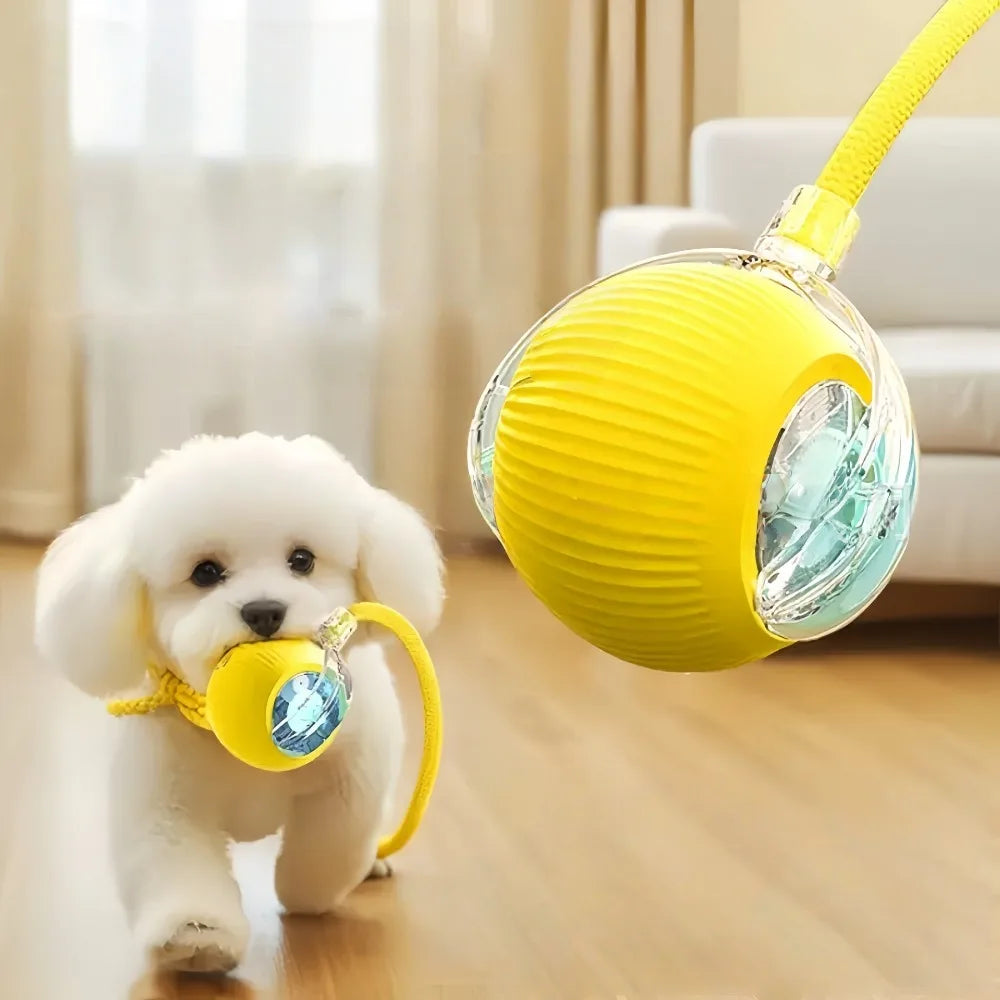 Dog Toy Automatic Dog Walking Ball Self-Happy Relieving Boredom Pet Electric Puppy Bite-Resistant Smart Toy Puppy Training